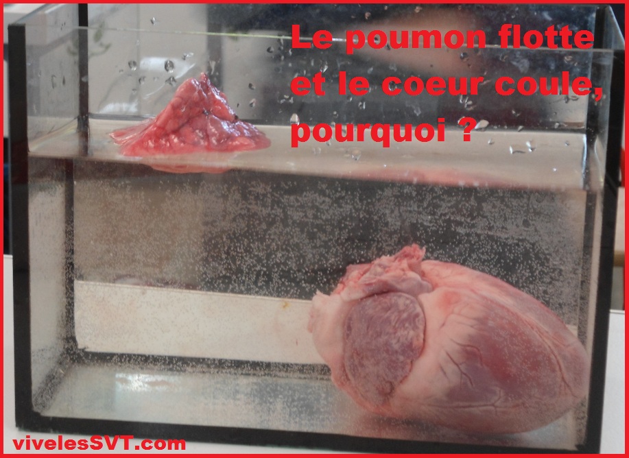 comment analyser l eau