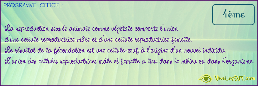 la rencontre des cellules reproductrices