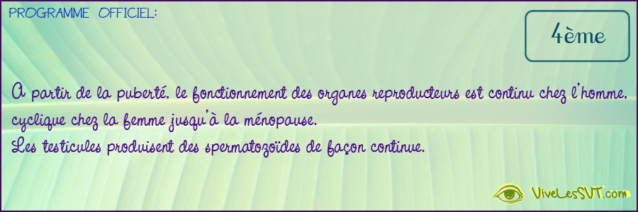 ejaculation de l homme
