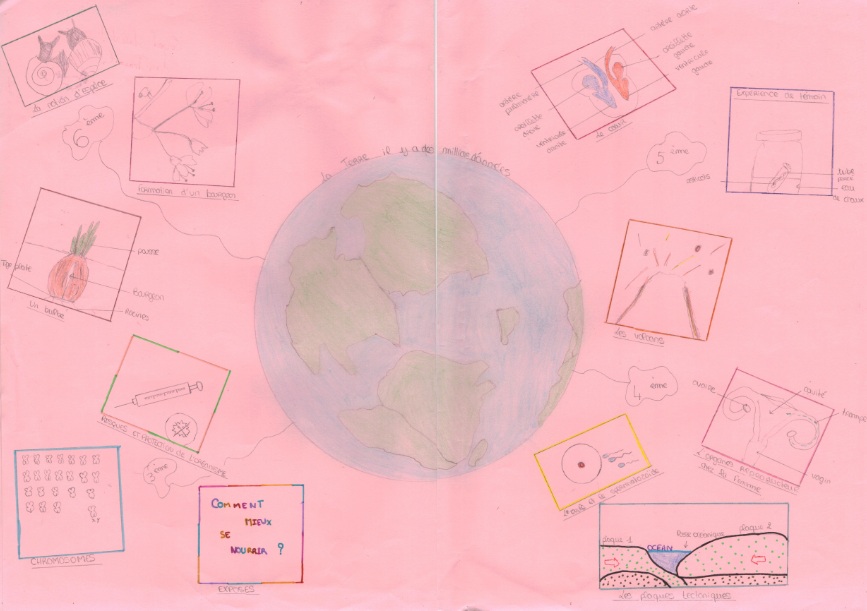 Geologie Biologie College Vive Les Svt Geologie Biologie College Vive Les Svt