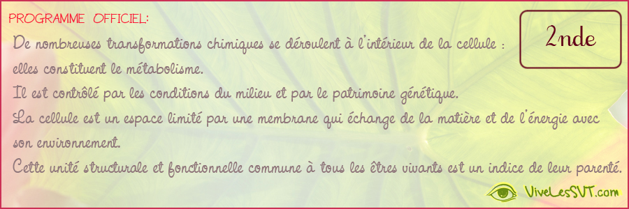 culture cellules animales