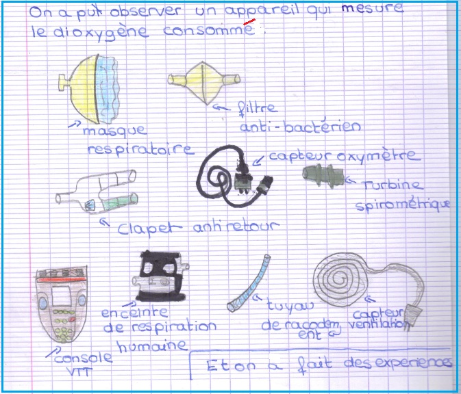 comment apprendre ses lecons en 5eme