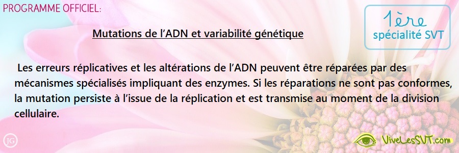 Les Mutations De L Adn Et La Variabilite Genetique 1ere Spe Svt Vive Les Svt Les Mutations De L Adn Et La Variabilite Genetique 1ere Spe Svt Vive Les Svt