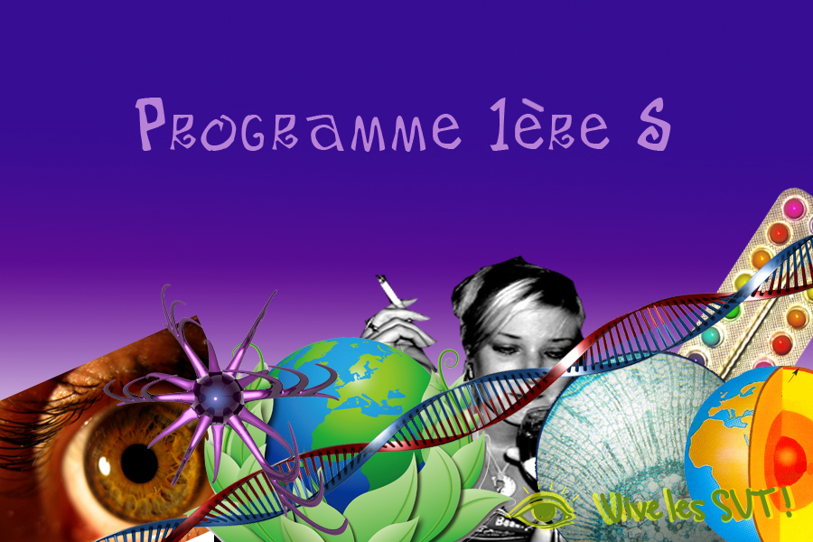 Le programme de 1ère S