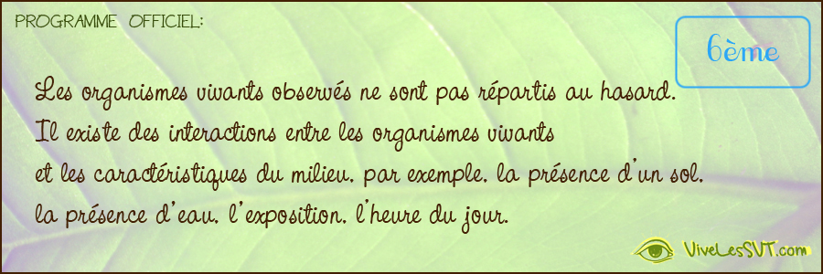 Les organismes vivants observés ne sont pas répartis au hasard