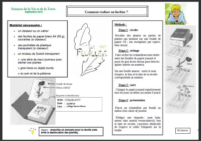 herbier-svt-6eme1