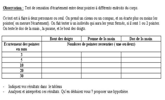 La sensibilité tactile