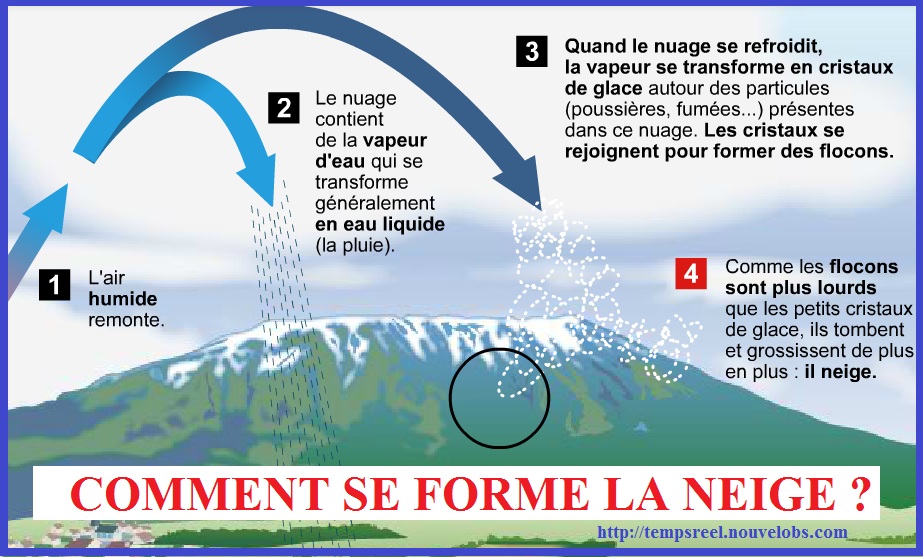 Mentions légales