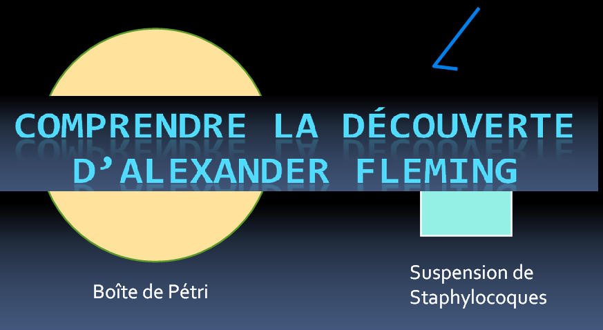 comprendre-la-decouverte-dalexander-fleming-antibiotique