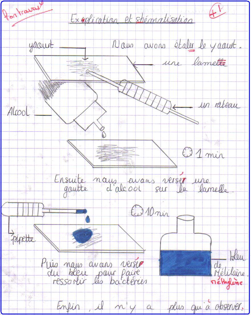 Diagramme de Protocole: Réaliser une préparation microscopique