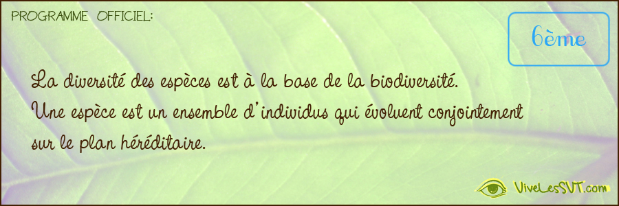 La diversité des espèces est à la base de la biodiversité Une espèce est un ensemble d individus qui évoluent conjointement sur le plan héréditaire