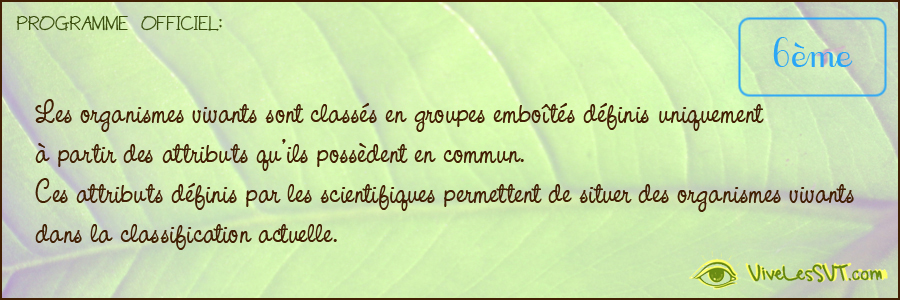 Les organismes vivants sont classés en groupes emboîtés définis uniquement à partir des attributs qu ils possèdent en commun