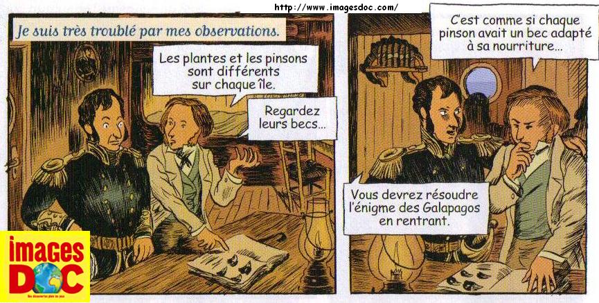 darwin-bandes-dessinees1