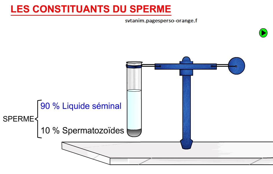 les constituants du sperme SVT