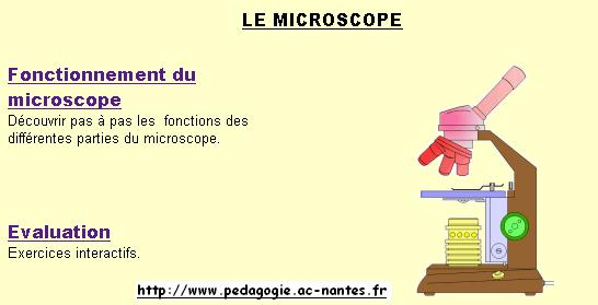 Utilisation du microscope optique en SVT