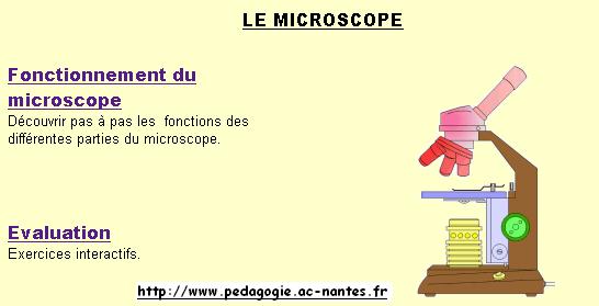 Réaliser une observation au microscope optique – Les cours de Max