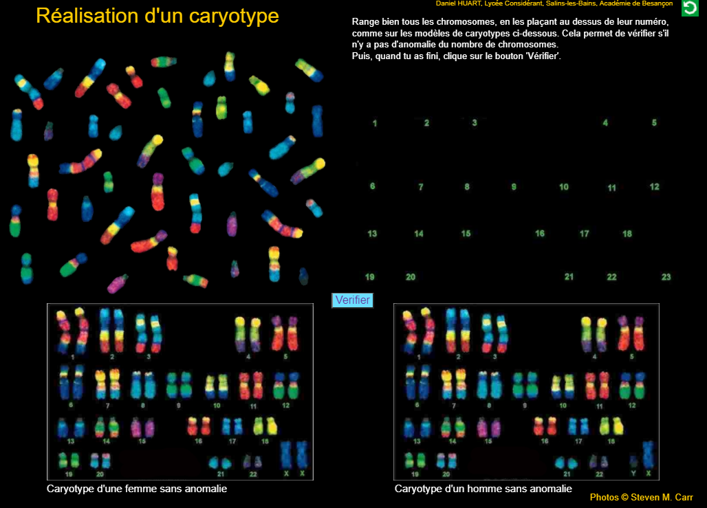 DM de caryotype 3ème SVT