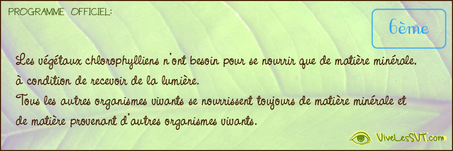 Tous les autres organismes vivants se nourrissent toujours de matière minérale et de matière provenant d autres organismes vivants