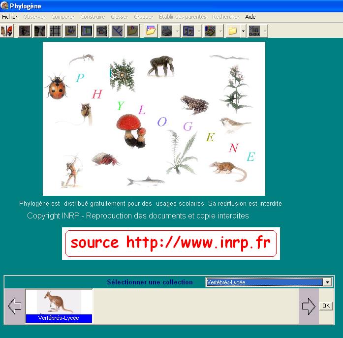 Site du logiciel Phylogène