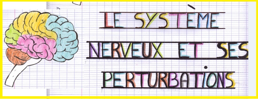 systeme-nerveux-perturbations1