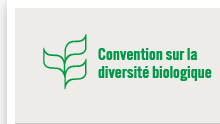 convention-diversite-biologique convention-diversite-biologique