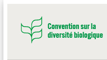 convention-diversite-biologique