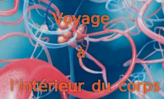 Voyage à l’intérieur du corps