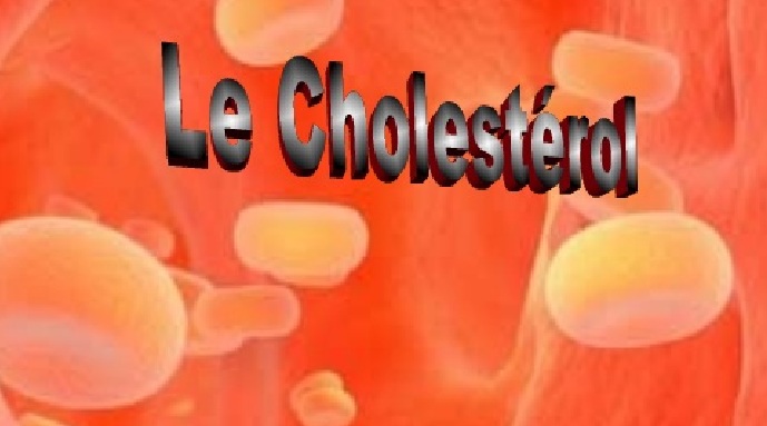 Le cholestérol