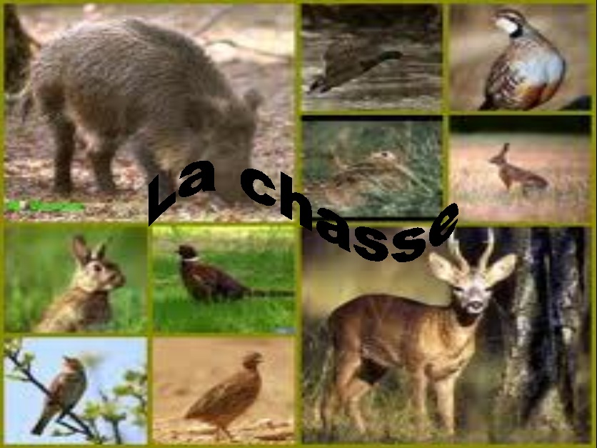 La chasse