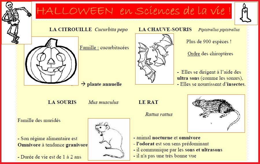 Halloween en SVT