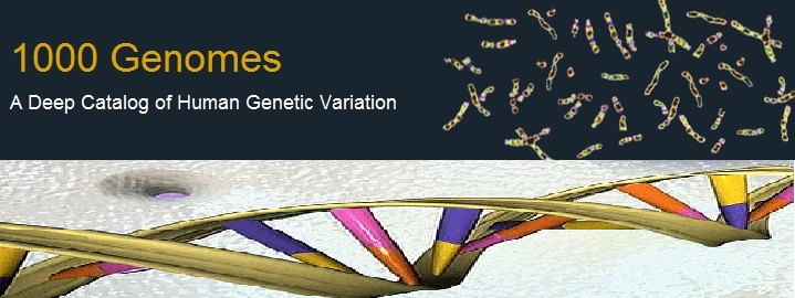 Qu’est ce que le 1000 Genomes Project ?