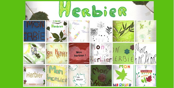 Fabrication d'un herbier 