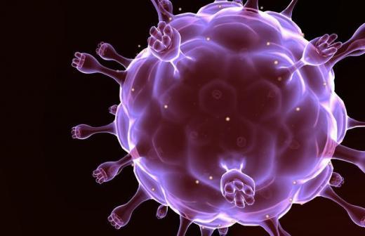 Comment l’organisme peut contrôler seul le virus du sida ?