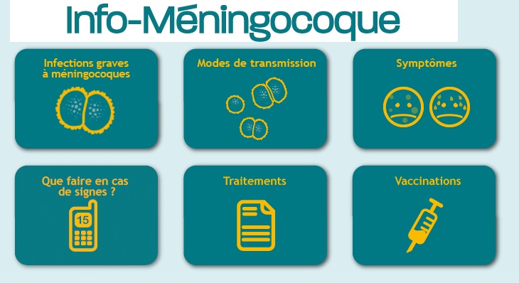 meningocoque