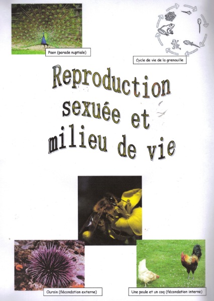 reproduction-sexuee-et-milieu-de-vie-14