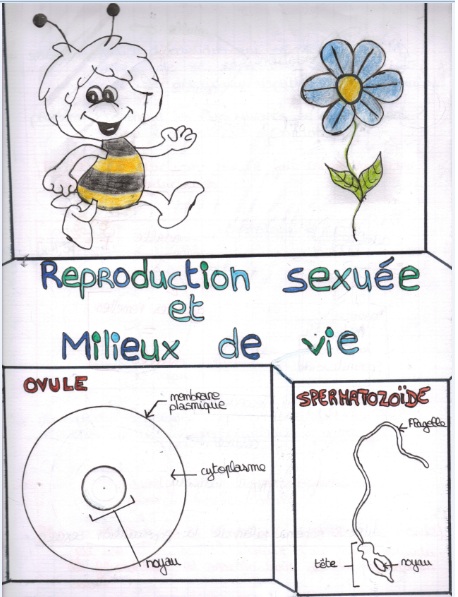 reproduction-sexuee-et-milieu-de-vie2