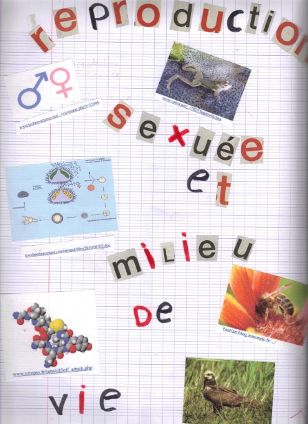 reproduction-sexuee-et-milieu-de-vie7