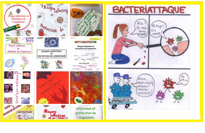 Le système immunitaire illustré par les 3èmes