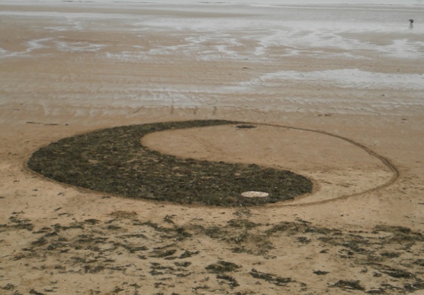 Stage BAFA : Land Art au bord de mer