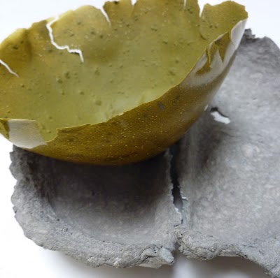Comment transformer des algues vertes en produits innovants ?