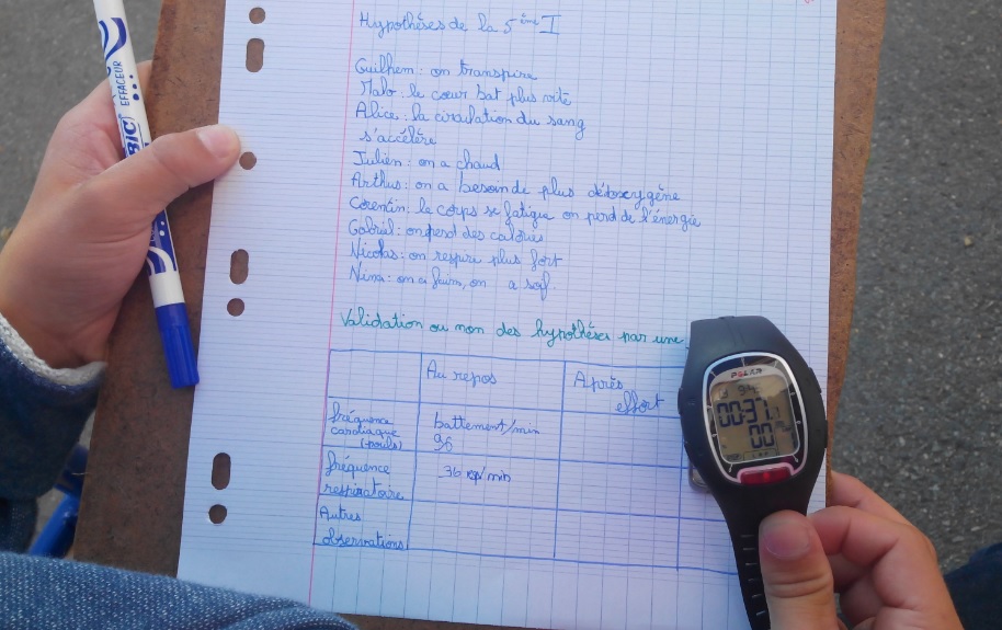 Les Echanges Entre Les Organes Et Le Sang Cours Svt 5eme Vive Les Svt Les Sciences De La Vie Et De La Terre Au College Et Au Lycee
