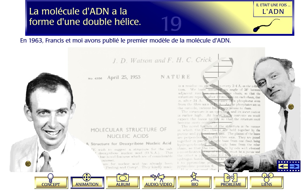 molécule ADN SVT