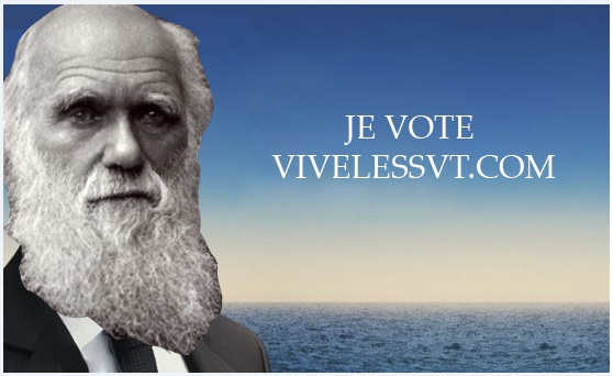 Qui vote VivelesSVT.com ?