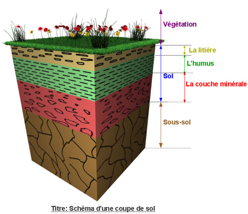 Structure du sol  Espace pour la vie