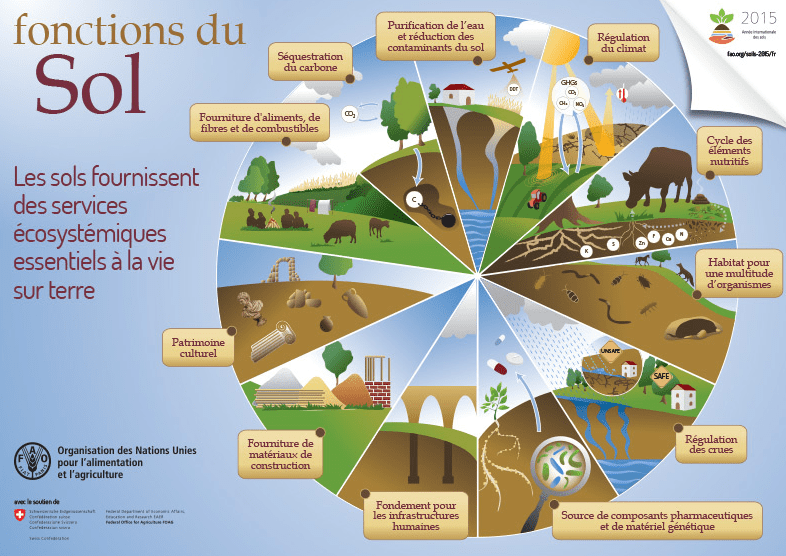 Le sol : un patrimoine durable ?  Vive les SVT ! Les sciences de