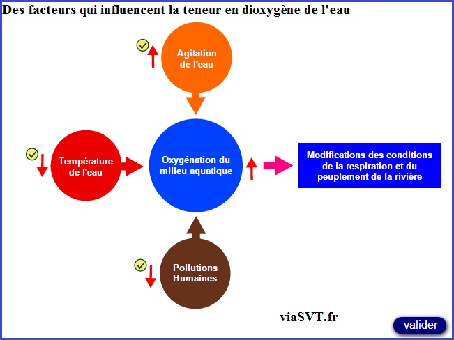 Respiration et répartition des êtres-vivants