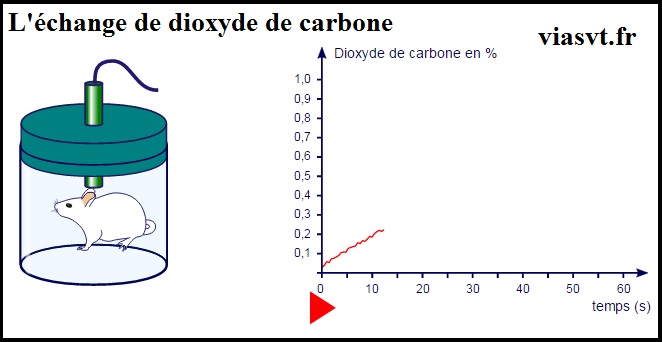 echange dioxyde de carbone application SVT