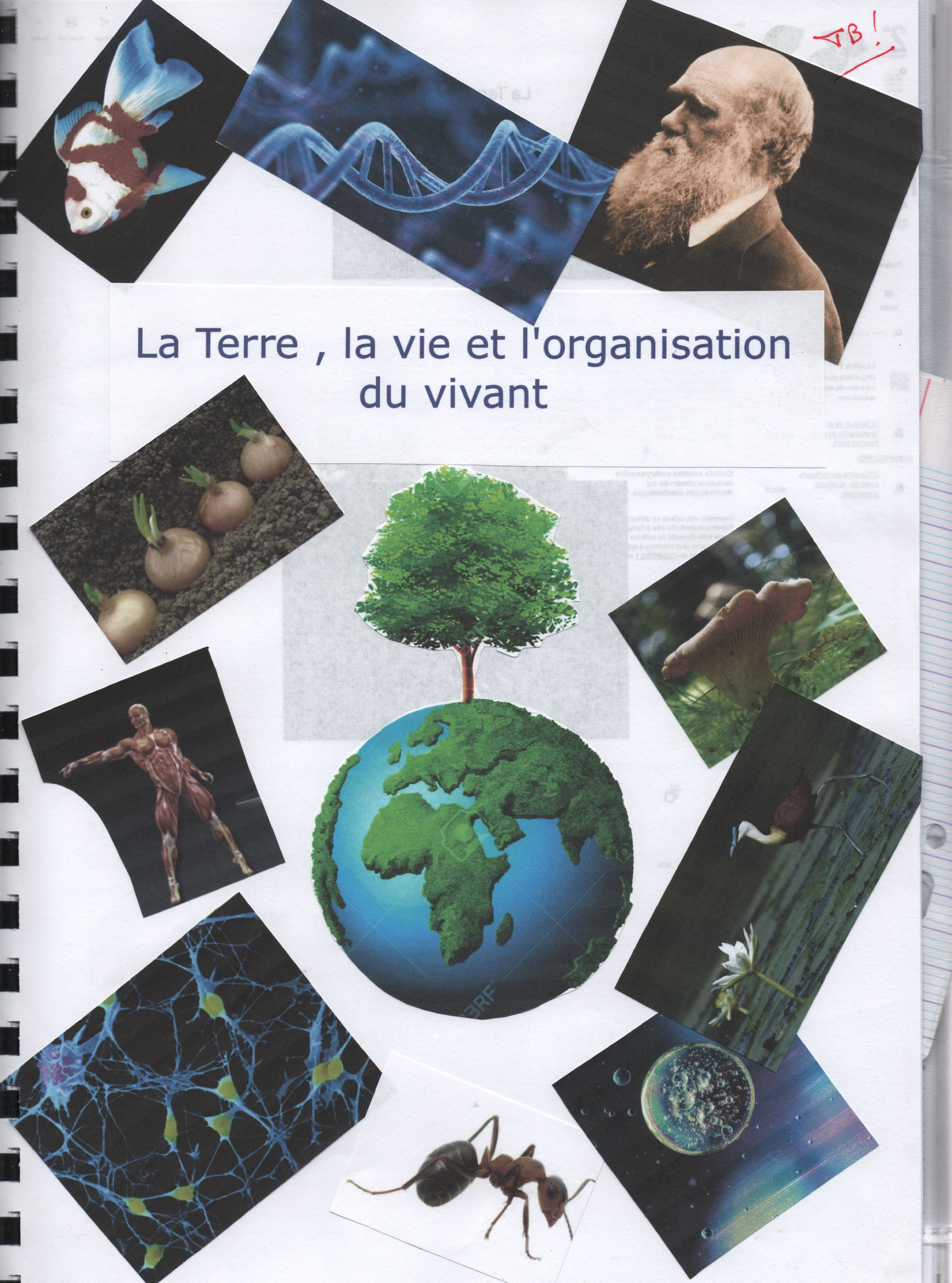 Page De Garde Cahier Svt 2seconde Le programme de seconde en SVT | Vive les SVT ! Les sciences de la vie et de la Terre au collège et au lycée - Cours de SVT en ligne -