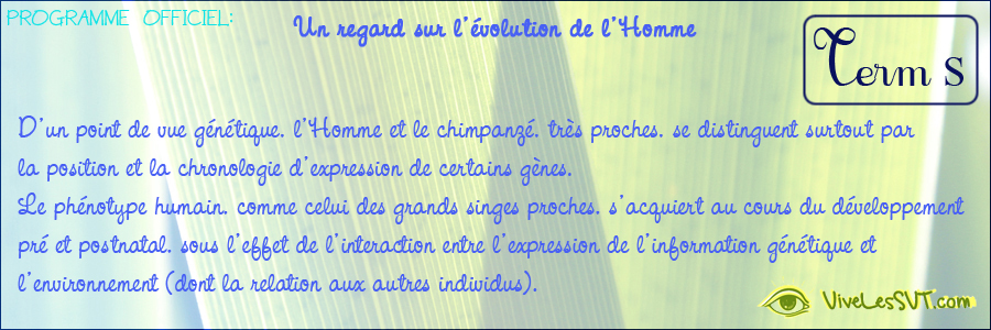 Un Regard Sur L Evolution De L Homme Vive Les Svt Les Sciences De La Vie Et De La Terre Au College Et Au Lycee Cours De Svt En Ligne