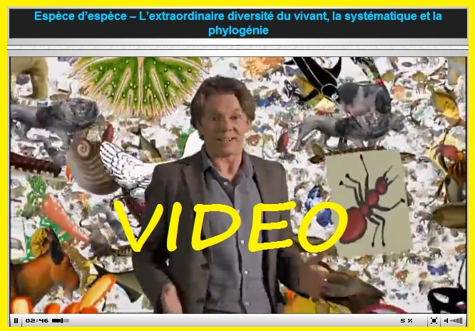 film-espèces-despèces